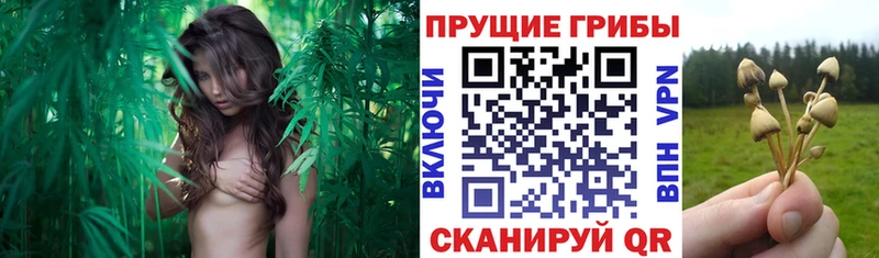 Псилоцибиновые грибы прущие грибы  блэк спрут ONION  Смоленск  хочу  